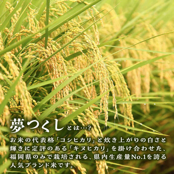 【ふるさと納税】【全3回定期便】糸島産 夢つくし 5kg × 3回 糸島市 / 三島商店 [AIM005] 27000円 米 白米 常温