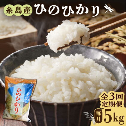 【全3回定期便】糸島産 ひのひかり 5kg × 3回 糸島市 / 三島商店 [AIM008] 25000円 2万5千円