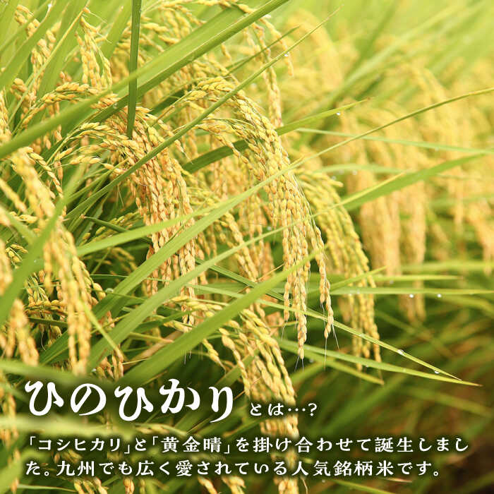 【ふるさと納税】【全6回定期便】糸島産 ひのひかり 5kg × 6回 糸島市 / 三島商店 [AIM009] 49000円