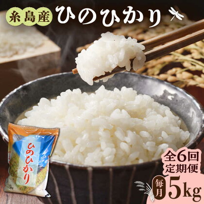 【全6回定期便】糸島産 ひのひかり 5kg × 6回 糸島市 / 三島商店 [AIM009] 49000円