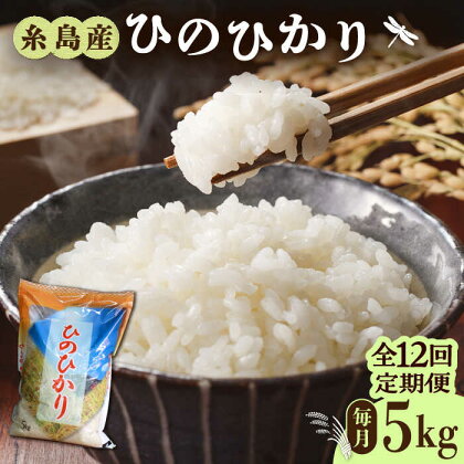 【全12回定期便】糸島産 ひのひかり 5kg × 12回 糸島市 / 三島商店 [AIM010] 98000円