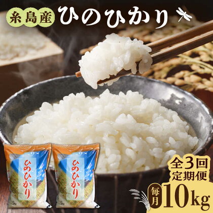 【全3回定期便】糸島産 ひのひかり 10kg × 3回 糸島市 / 三島商店 [AIM014] お米 白米 42000円 常温