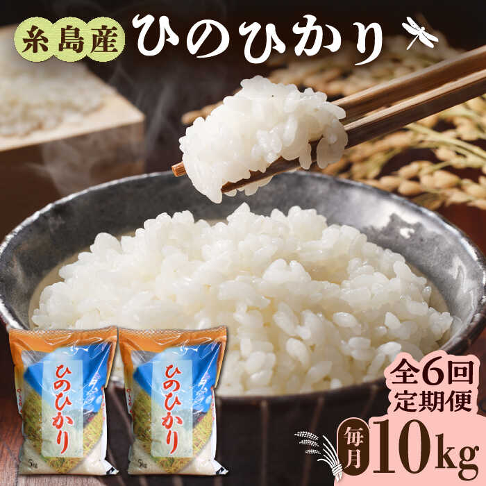 [全6回定期便]糸島産 ひのひかり 10kg × 6回 糸島市 / 三島商店 [AIM015] お米 白米 84000円 常温