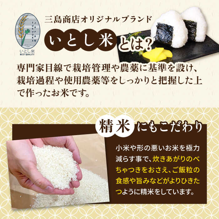 【ふるさと納税】【お中元対象】＼令和5年産／いとし米 厳選ひのひかり 5kg (糸島産) 糸島市 / 三島商店 [AIM019] 10000円 1万円 常温 米 3