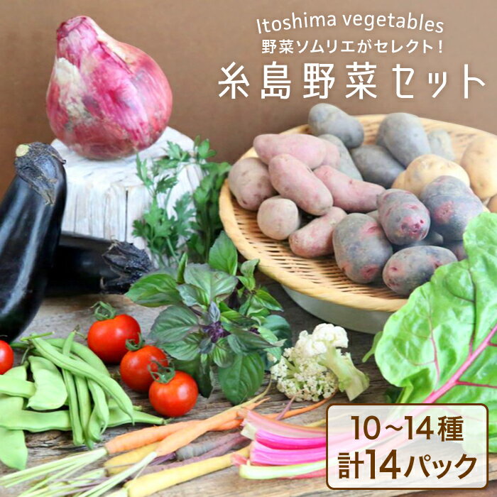 17位! 口コミ数「4件」評価「4.5」旬を味わう『糸島野菜セット』 10～14種（計14パック） イタリア野菜 オーガニック 野菜ソムリエ松永 vegeLabo [AJB001]･･･ 