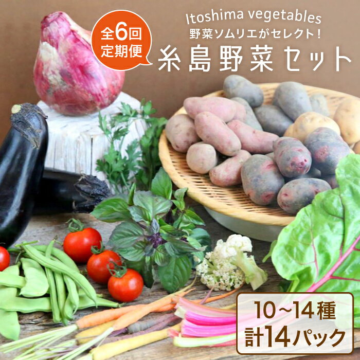 [全6回定期便]旬を味わう『糸島野菜セット』年6回お届けコース 10〜14種(計14パック) イタリア野菜 オーガニック 野菜ソムリエ松永 vegeLabo [AJB002] 120000円 12万円 100000円 10万