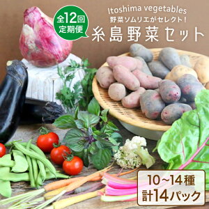 【ふるさと納税】旬を味わう『糸島野菜セット』年12回お届けコース 野菜ソムリエ松永 AJB003