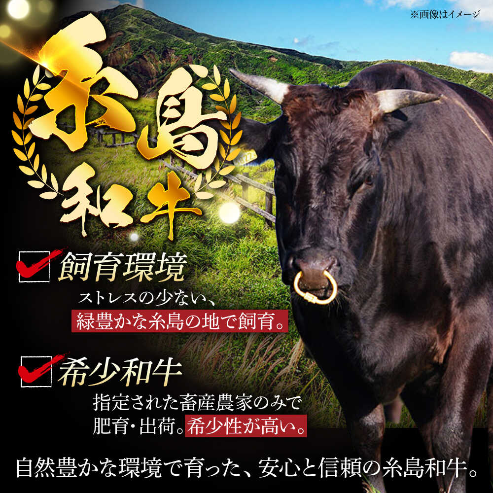 【ふるさと納税】【全3回定期便】月限定40個の希少和牛！糸島牛 赤身 スライス（モモ・ウデ） 500g トラヤミートセンター [AJD010] 45000円 4万5千円