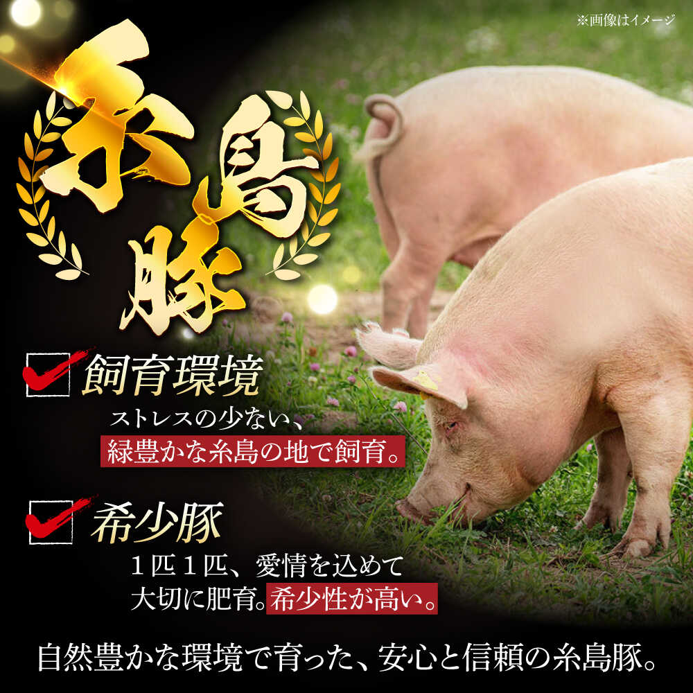 【ふるさと納税】【全12回定期便】糸島豚バラエティセット(とんかつ、肩ロース、しゃぶしゃぶ) トラヤミートセンター [AJD012]20万円201000円