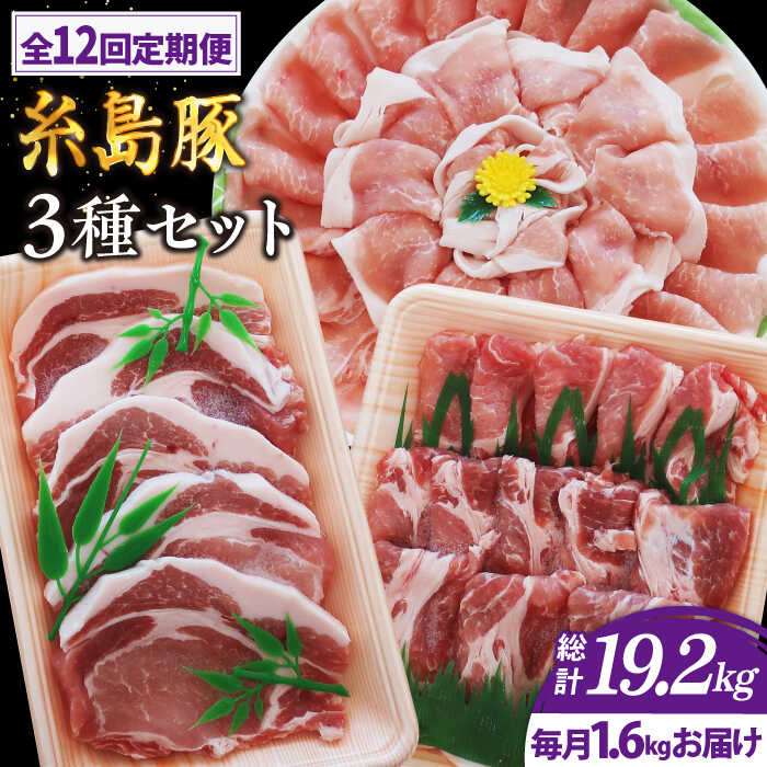 【ふるさと納税】【全12回定期便】糸島豚バラエティセット(とんかつ、肩ロース、しゃぶしゃぶ) トラヤミートセンター [AJD012] 192000円 100000円 10万