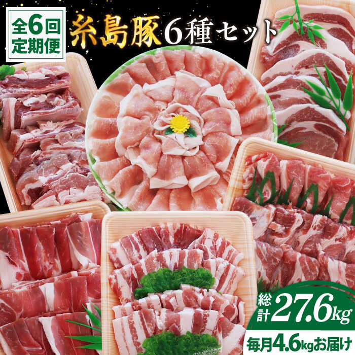 【ふるさと納税】【全6回定期便】合計4.6kg！糸島豚食べ尽