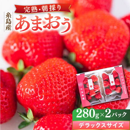 ＼農園直送！／糸島産 完熟あまおう 280g×2パック (デラックスサイズ) 糸島市 / 小河農園 [AJN001] 12000円 いちご 苺 新着