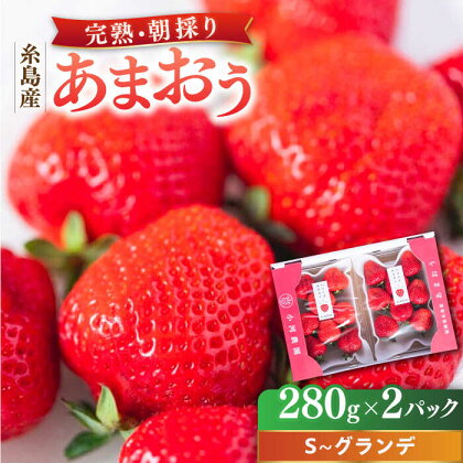 ＼農園直送！／糸島産 完熟あまおう 280g×2パック (S～グランデサイズ) 糸島市 / 小河農園[AJN003] いちご フルーツ 果物 8000円 8千円