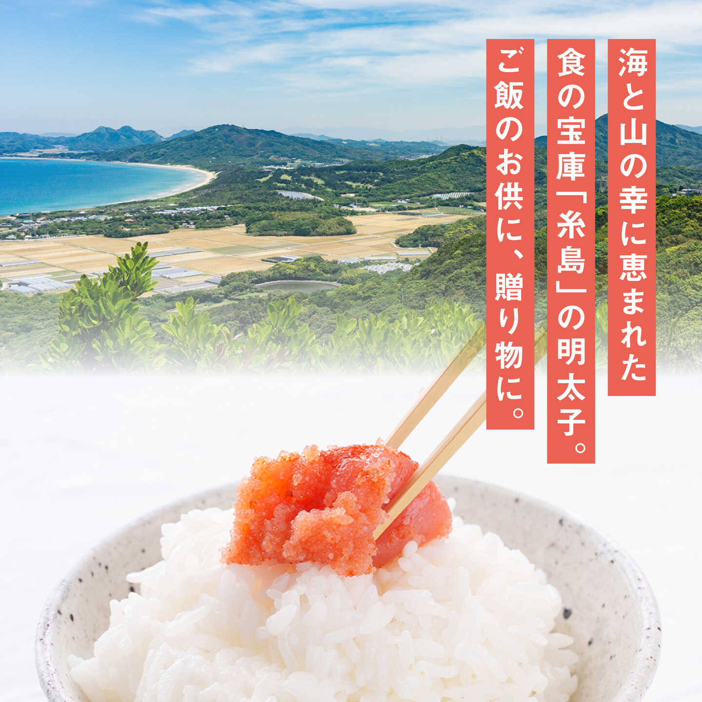 【ふるさと納税】酒と醤油の 辛子明太子 やまっこ（ 特切 450g ） 糸島市 / やますえ [AKA044] 母の日 父の日 ギフト 明太子 ご飯のお供1万4千円14000円 f402303-itoshima-10003268 福岡県糸島市 サンプル画像2