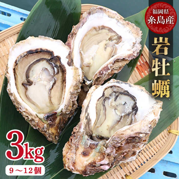 【ふるさと納税】【特大!!】岩牡蠣 糸島産 3kg (約9~12個) 糸島 / JF糸島 糸島漁業協同組合 [AKD004] ...