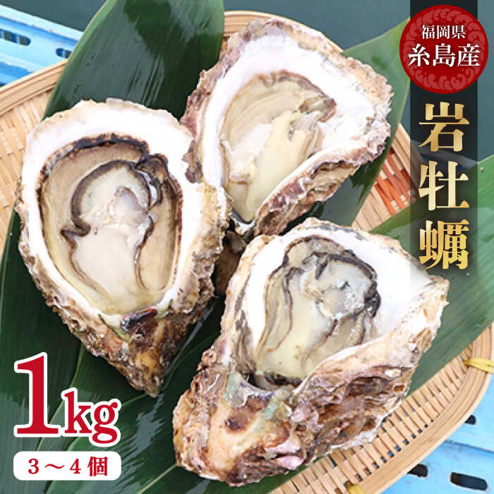 【ふるさと納税】【特大!!】岩牡蠣 糸島産 1kg (約3~4...