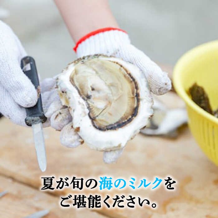 【ふるさと納税】【特大!!】岩牡蠣 糸島産 4kg (約12~16個) 糸島 / JF糸島 糸島漁業協同組合 [AKD007] 19000円 岩カキ 岩ガキ 生食用 楽天限定