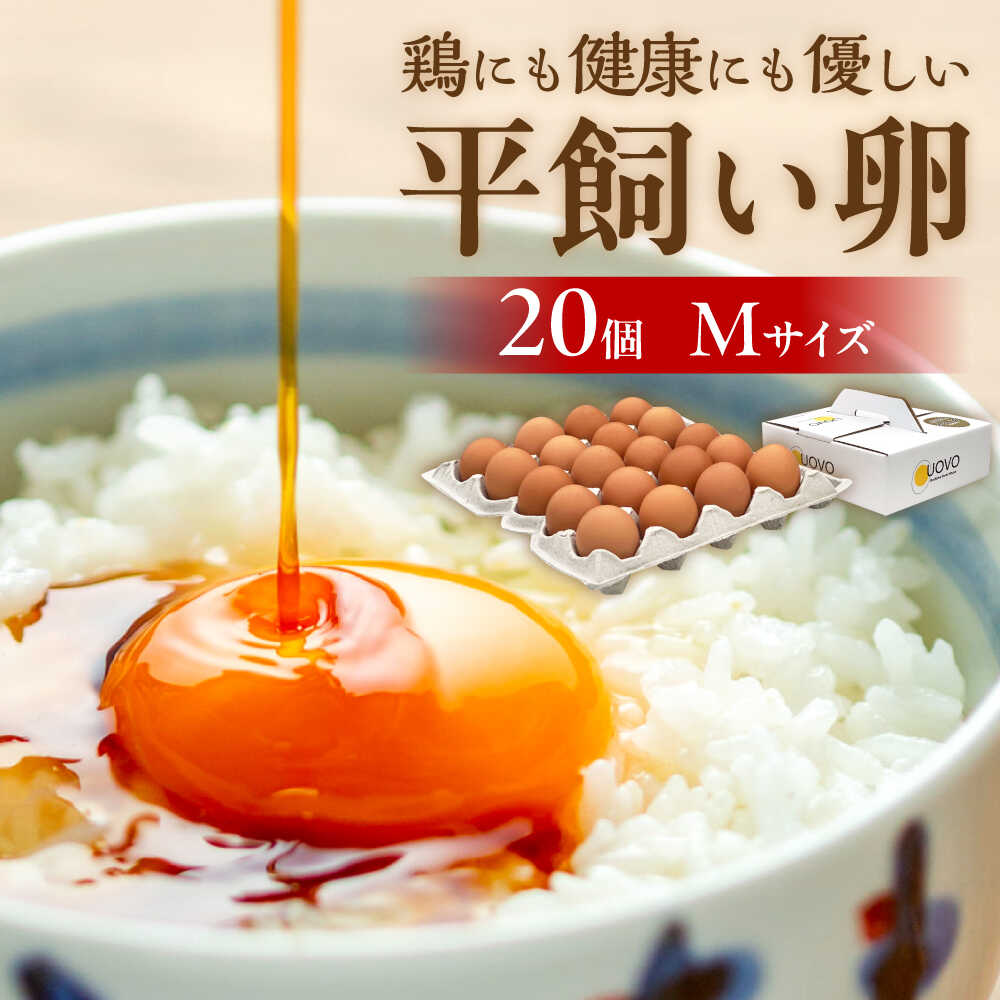 楽天市場】【ふるさと納税】☆3回定期便☆平飼い卵「天上卵」20 楽天市場】【ふるさと納税】☆3回定期便☆平飼い卵「天上卵」20
