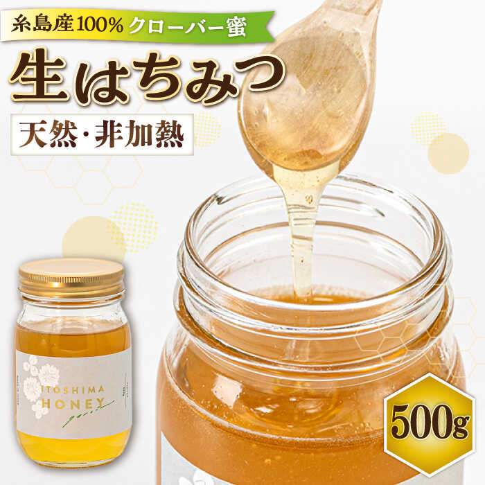 【福岡県糸島市産】 採れたて天然生はちみつ クローバー蜜 500g 糸島市 / 糸島二丈サクランボ農園[AKJ019]1万9千円19000円