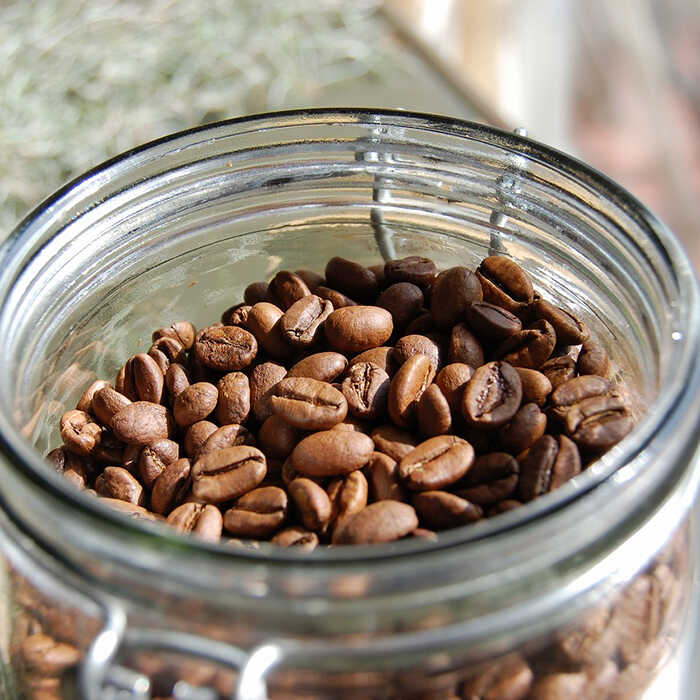 【ふるさと納税】【全3回定期便】 Petani coffee [COFFEE GIFT] アイスコーヒーゲイシャ種 × 3本 糸島市 / Petani coffee [ALC021] 常温 38000円 3万8千円