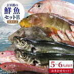 【ふるさと納税】福吉漁港直送！玄界灘の鮮魚セットB (5,6人向け) 福ふくの里 [ALD002] 15000円