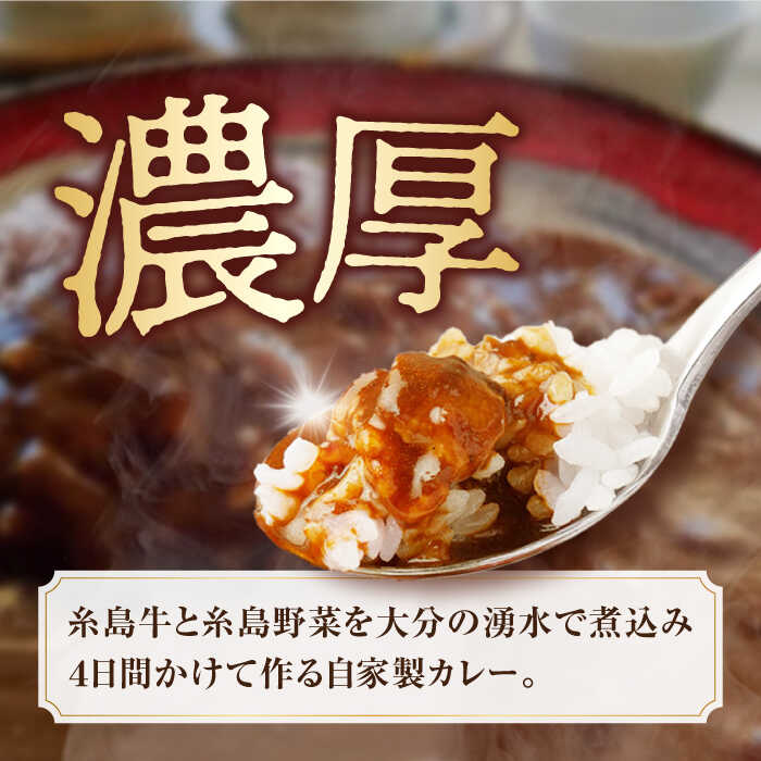 【ふるさと納税】【先行受付】糸島牛の旨みたっぷり！！濃厚海軍カレー5袋 【2026年9月以降発送】 ≪糸島≫【ココペリ】レトルト/カレー/常備食/糸島牛 [ALE003] 1万5千円15000円 f402303-itoshima-10001445 福岡県糸島市 サンプル画像2