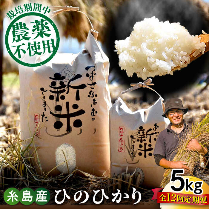 29位! 口コミ数「0件」評価「0」【全12回定期便】 糸島産 雷山のふもとの米 農薬不使用 5kg 糸島市 / ツバサファーム[ANI005] 常温 100000円 10万