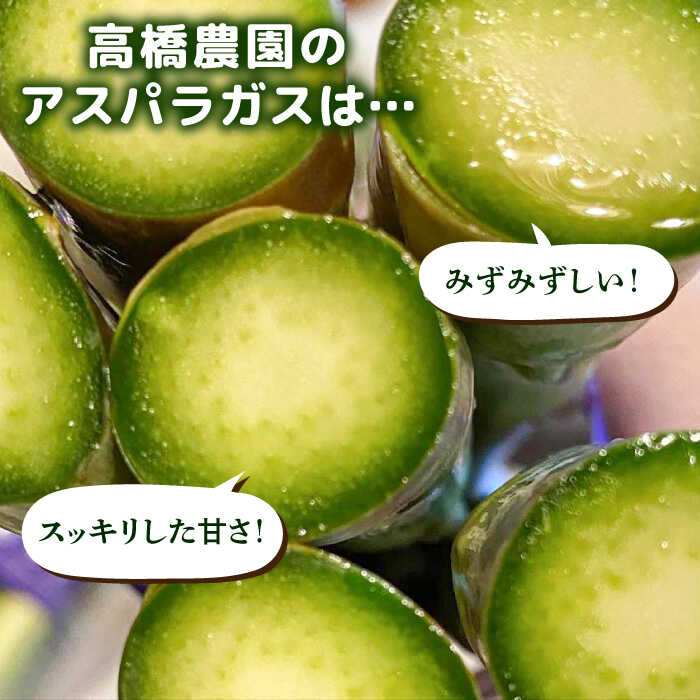 【ふるさと納税】【先行受付】栽培期間中農薬不使用！ 朝採れのアスパラガス 1kg 【2026年3月中旬以降順次発送】糸島市 / 高橋農園 [ANM001] アスパラ 野菜 16000円 1万6千円