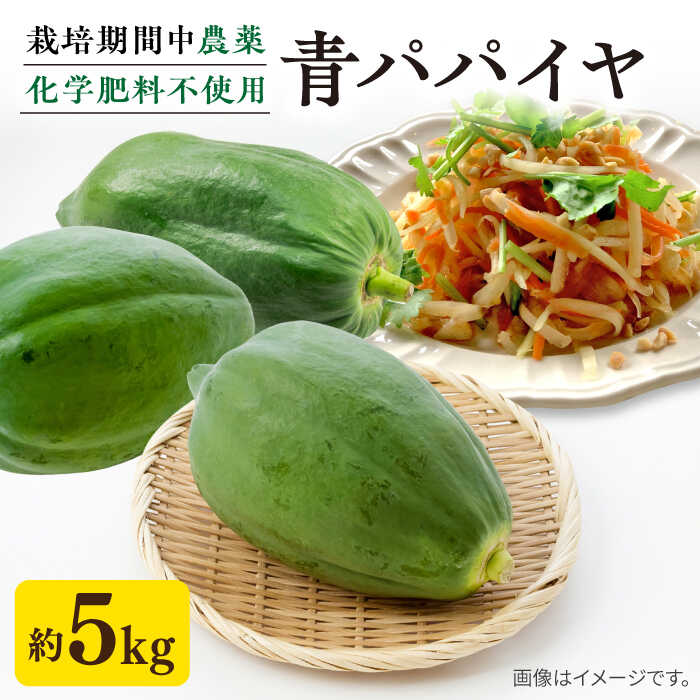 【ふるさと納税】糸島産 青パパイヤ 約5kg 糸島市 / 食と健康のブリッジベース[ANN001] 野菜 タイ料理 沖縄料理 18000円