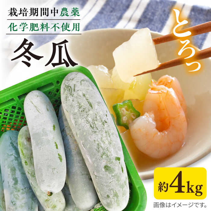 糸島産 冬瓜 約4kg 糸島市 / 食と健康のブリッジベース[ANN002] 野菜 冬瓜スープ 10000円 1万円