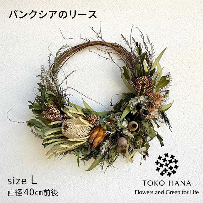 ڤդ뤵ǼǡۥХ󥯥Υ꡼L  / tokohana ɥ饤ե [AOC031] 47000