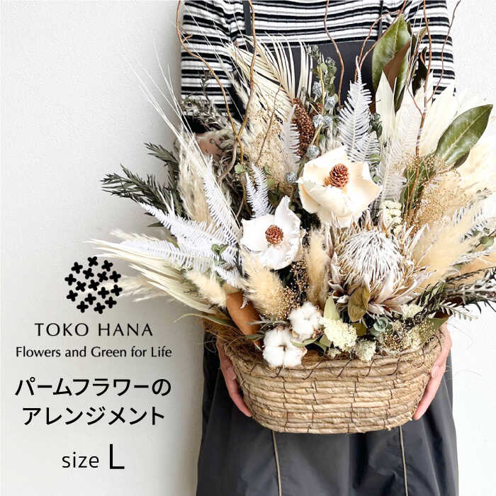 ڤդ뤵ǼǡۥѡեΥ󥸥ȡL  / tokohana ɥ饤ե [AOC038] 7700...
