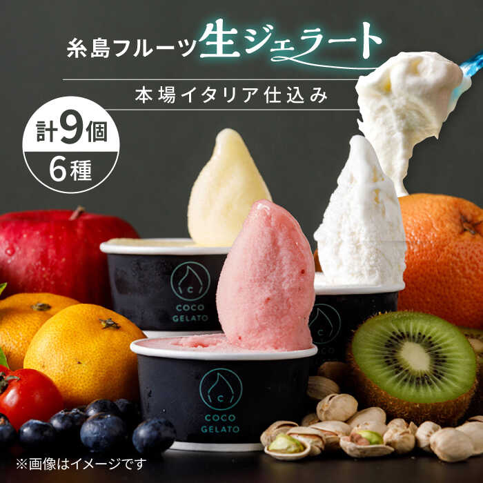 ＼本場イタリア仕込み/糸島 フルーツ 生ジェラート 9個セット 糸島市 / COCO GELATO[AON001] 15000円