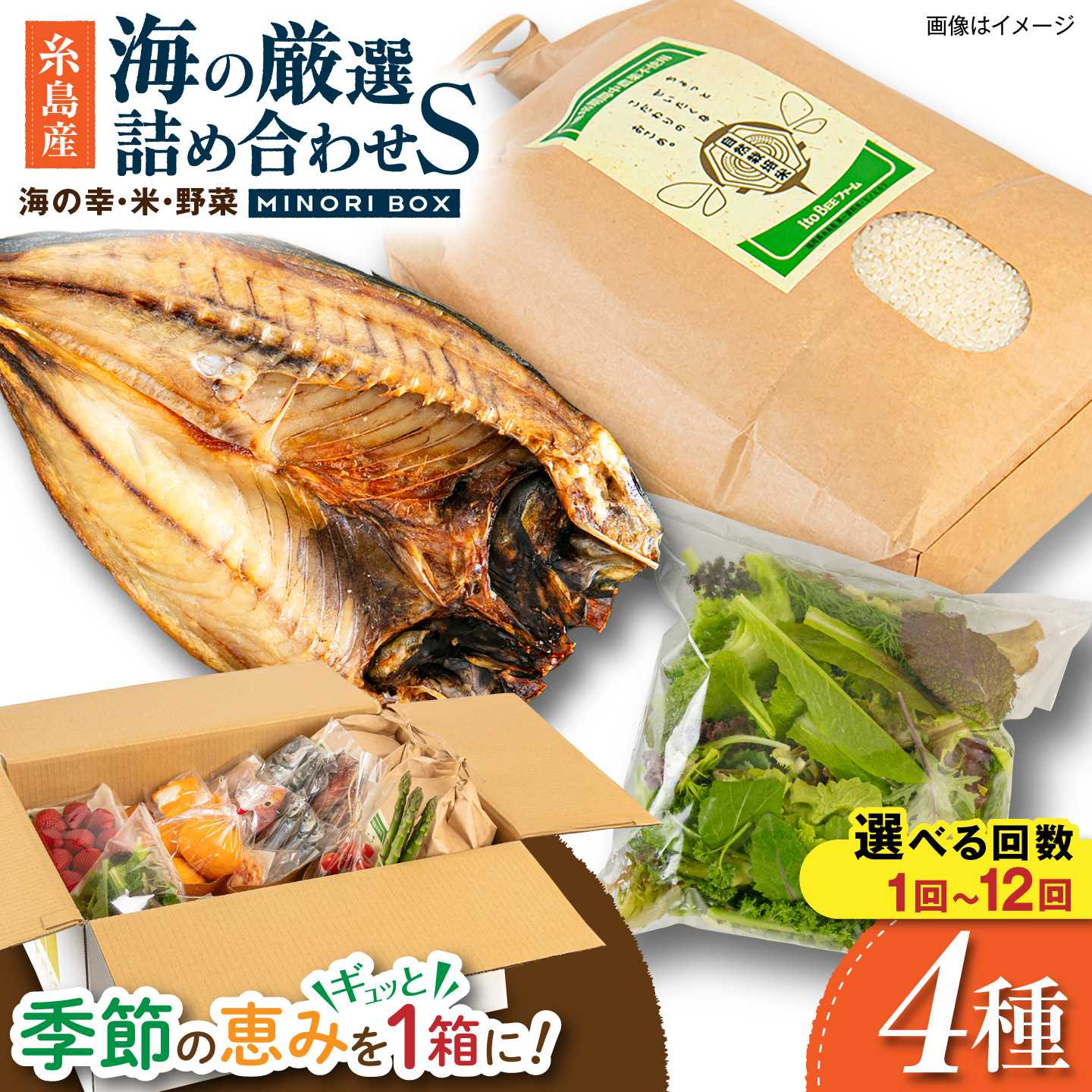 糸島産 魚 米 野菜 果物 厳選詰め合わせ MINORI BOX Sサイズ 糸島市 / emma.Inc / 米 魚 野菜 詰め合わせ[AOP004] お届け回数選べる セット 旬24000円 2万4千円