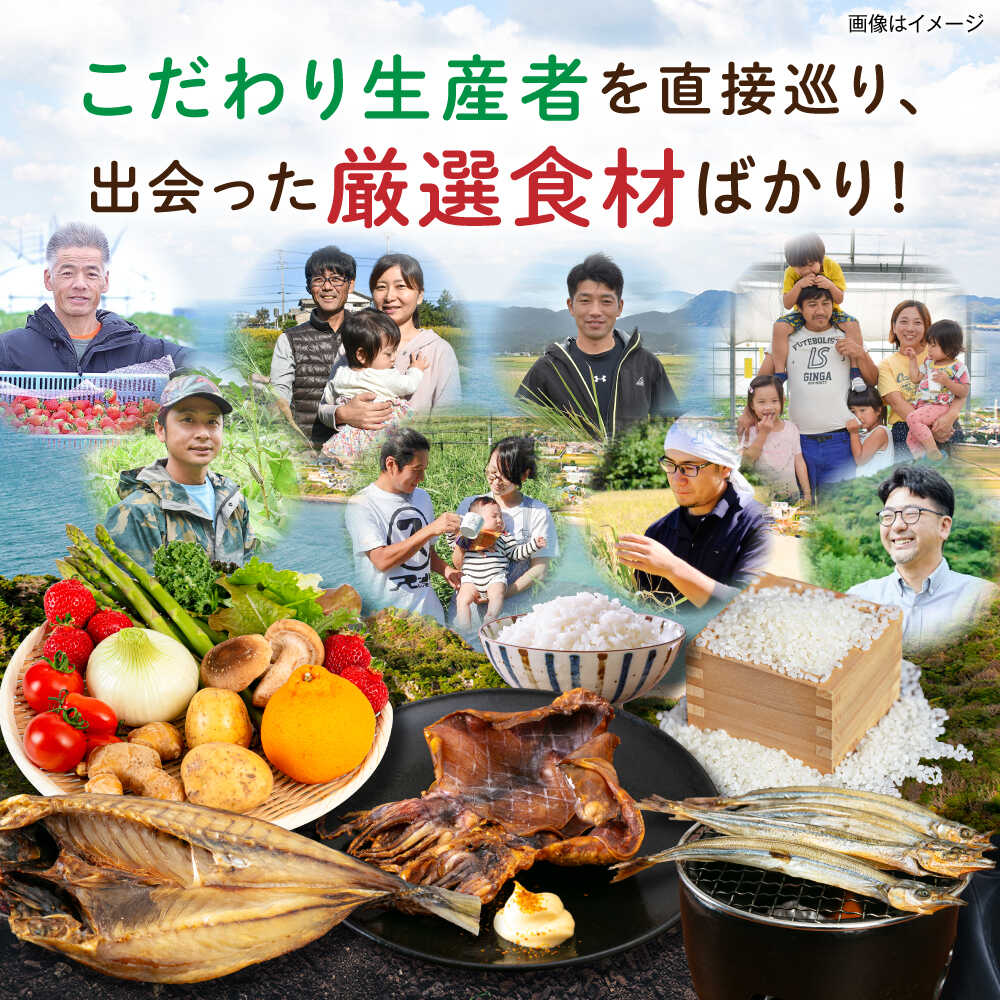 サンプル画像3