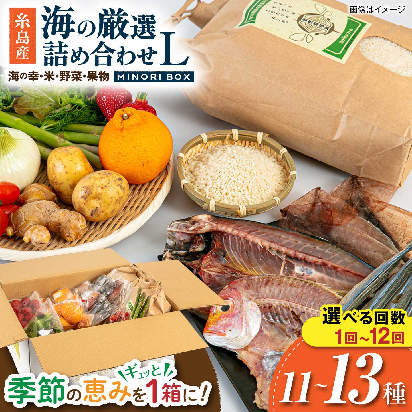 糸島産 魚 米 野菜 果物 厳選詰め合わせ MINORI BOX Lサイズ 糸島市 / emma.Inc / 米 魚 野菜 果物 詰め合わせ[AOP006] お届け回数選べる セット 旬65000円 6万5千円