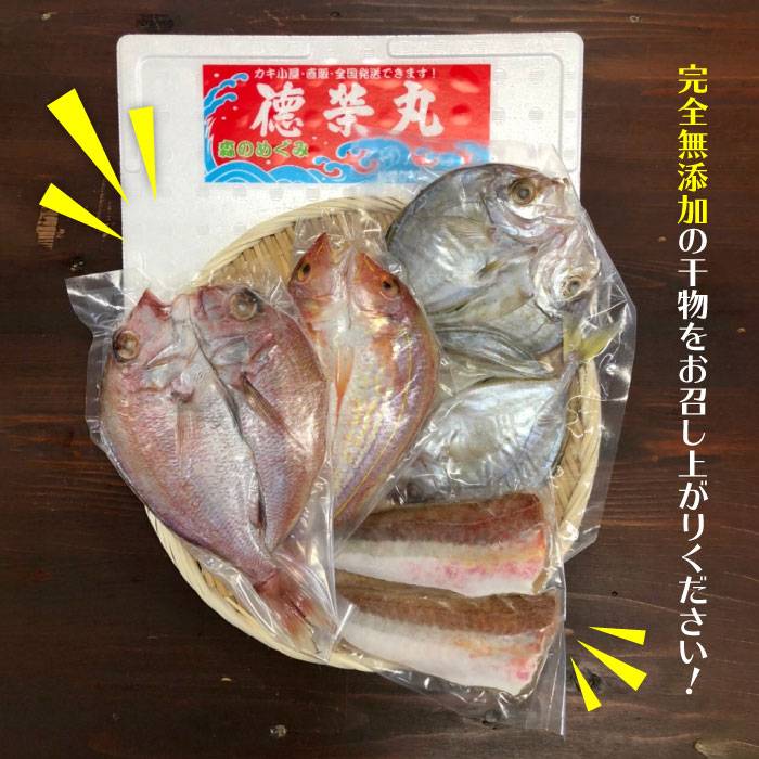 【ふるさと納税】干物セット4点(1匹20cm以上) マダイ 徳栄丸[APD006]1万1千円11000円 f402303-itoshima-10001785 福岡県糸島市 サンプル画像2