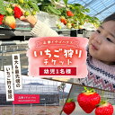 3位! 口コミ数「0件」評価「0」【志摩イチゴハウス】いちご狩り チケット （ 幼児 1名様 分 ） 糸島市 / 株式会社 糸島農園 [APM003] 7000円 7千円 イ･･･ 