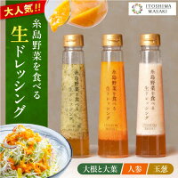 【ふるさと納税】糸島野菜を食べる生ドレッシング 3種セット (人参 大根と大葉 玉ねぎ) 糸島市 / 糸島正キ [AQA008] 11000円 常温