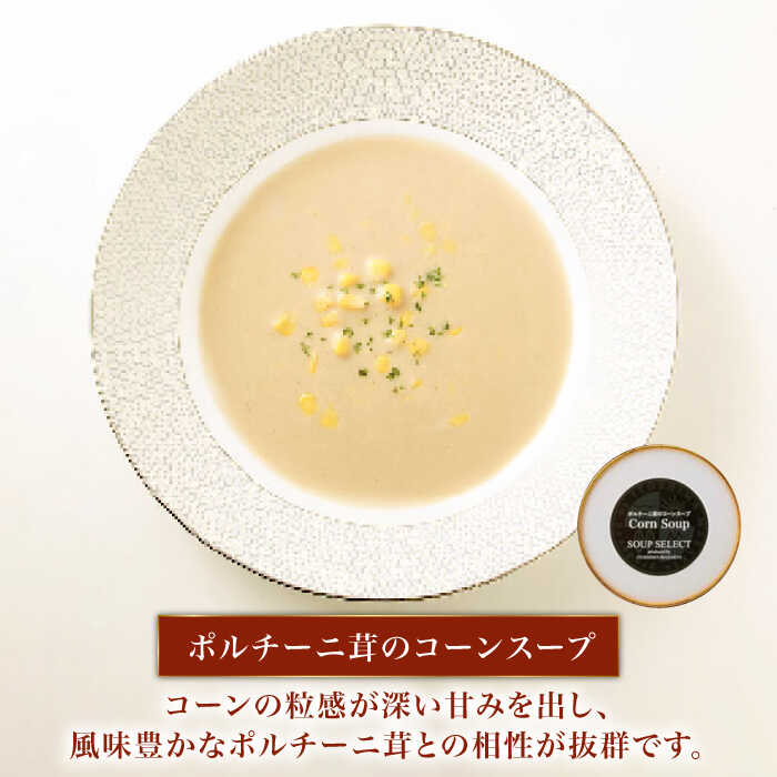 【ふるさと納税】【全6回定期便】SoupSelect 2点セット 糸島市 / 糸島正キ スープ レトルト[AQA072]7万8千円78000円 f402303-itoshima-10005510 福岡県糸島市 サンプル画像3