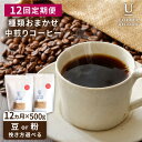 【ふるさと納税】【全12回定期便】種類おまかせ 中煎り コーヒー 定期便 【選べる豆or粉】 糸島市 / COFFEE UNIDOS [AQF017] 珈琲 285000円 常温 200000円 20万