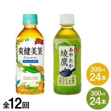 【ふるさと納税】全12回定期便 綾鷹 300mlPET 24本 爽健美茶 300mlPET 24本 合計48本 酒屋いとう ARA092