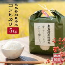 1位! 口コミ数「0件」評価「0」糸島特別栽培米コシヒカリ5kg《糸島》【itoshimacco《(株)やました》】 [ARJ005] 13000円 常温 いとしまっこ