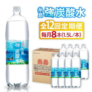 【ふるさと納税】【全12回定期便】強炭酸水 1.5L×8本 糸島市 / スターナイン 炭酸水 大容量 [ARM008] 72000円 常温