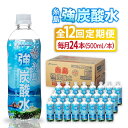 【ふるさと納税】【全12回定期便】強炭酸水 プレーン 500ml × 24本 糸島市 / スターナイン 炭酸水 国産 [ARM011] 84000円