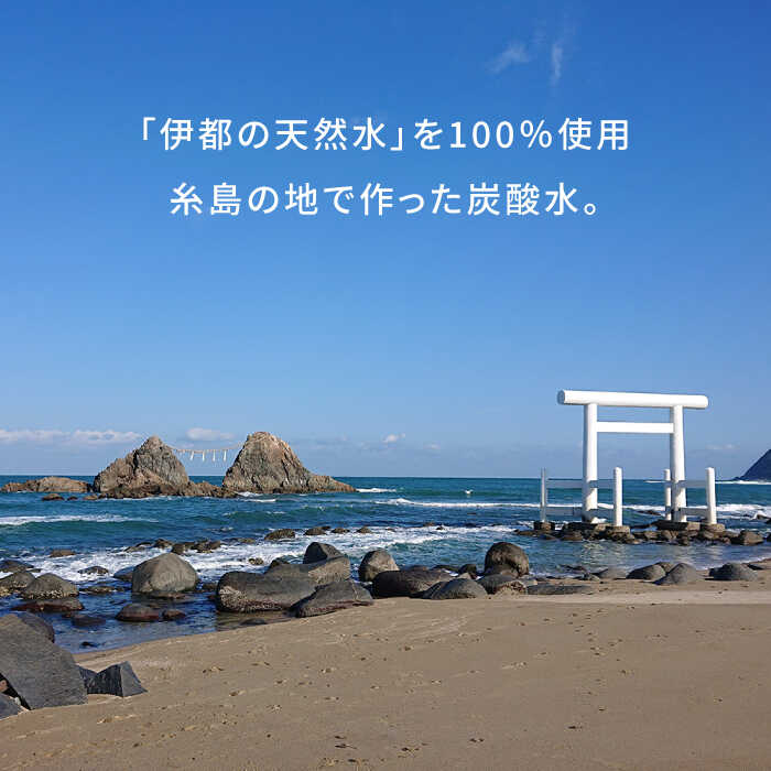 【ふるさと納税】【全3回定期便】強炭酸水 レモン 500ml × 24本 糸島市 / スターナイン 炭酸水 国産 [ARM012] 21000円 常温