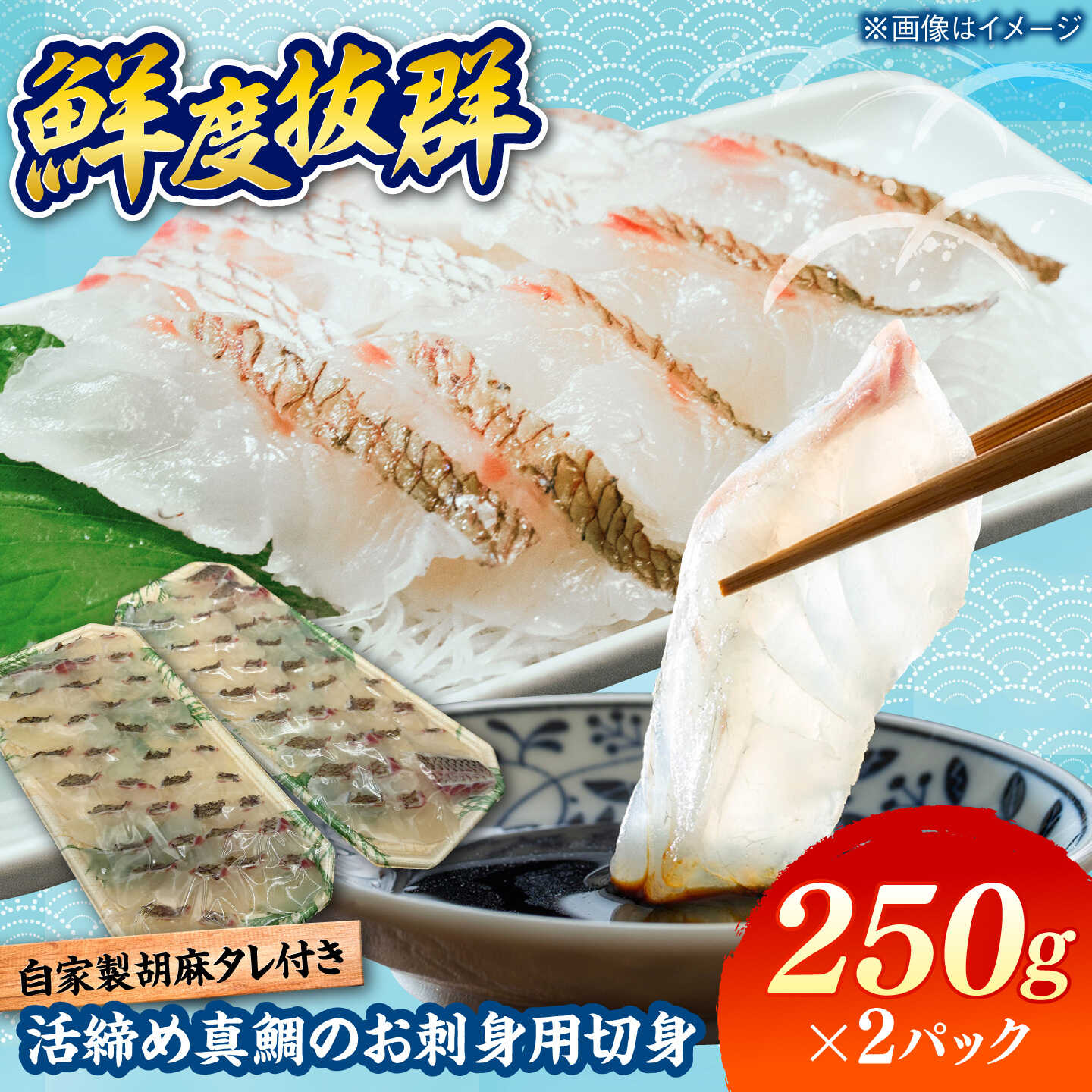 活締め 真鯛 お刺身用 切身 250g×2パック / 刺身 海鮮 まだい マダイ / 糸島市 / 塚本鮮魚店[ARO012] 22000円 2万2千円