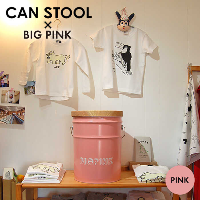 [BIG PINK]CANSTOOL 1台 糸島市 / スリークラウド [ASB011] スツール 収納 41000円