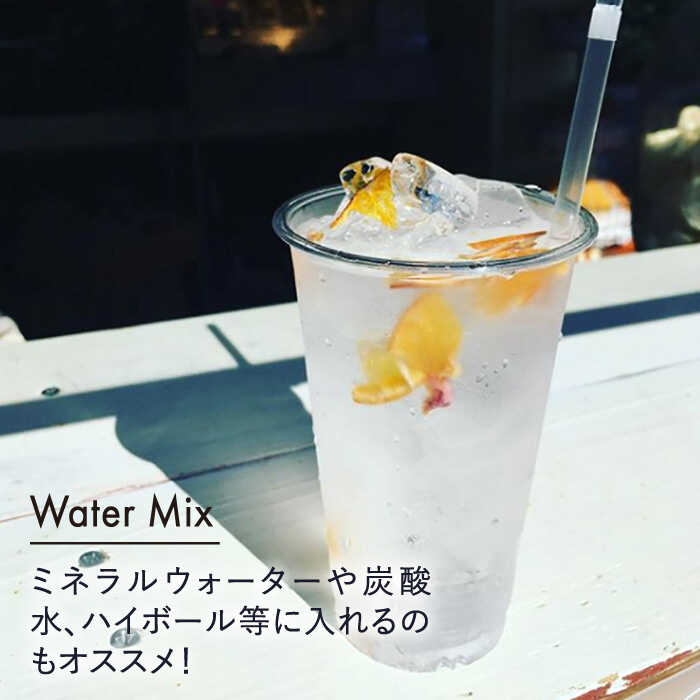 【ふるさと納税】糸島産栽培期間中農薬不使用玄米使用サクサクシリアル（プレーン）2袋+季節のウォーターミックス2袋【110west.inc】 【いとしまごころ】 シリアル ドライフルーツ [ASC007] 常温 7000円 7千円 f402303-itoshima-10002247 福岡県糸島市 サンプル画像2