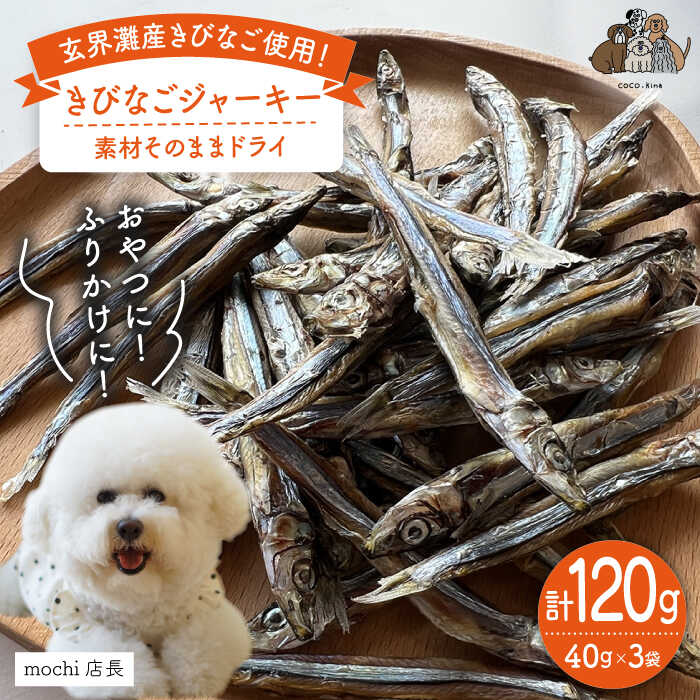 きびなご ジャーキー 40g×3袋 糸島市 / 株式会社コバヤシ[coco.kina] [ASL009] 11000円 常温 お魚ジャーキー 犬 おやつ